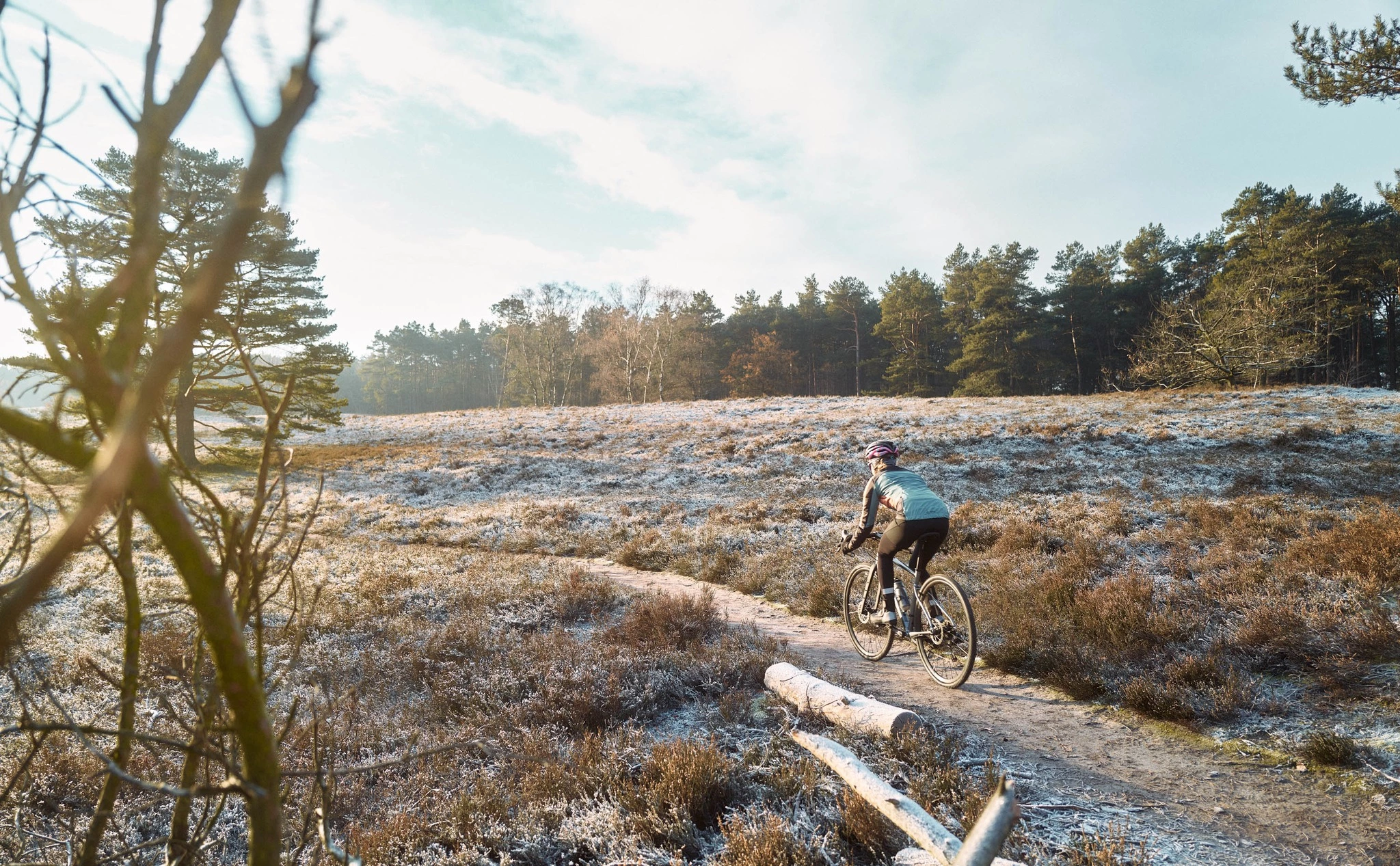 Billig Citybikes butik -Billig Citybikes butik 321955993 851562389430367 8421244579456016195 n